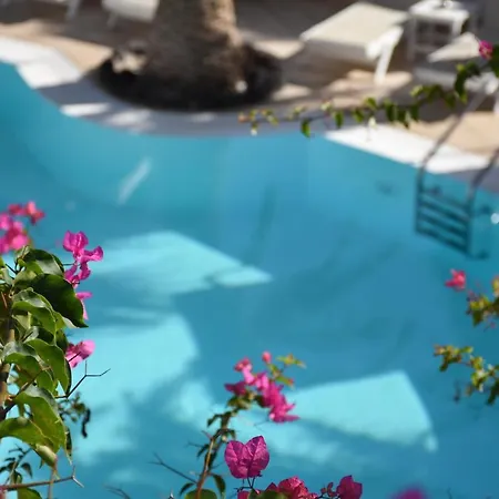 Отель Arion Bay Santorini 3*