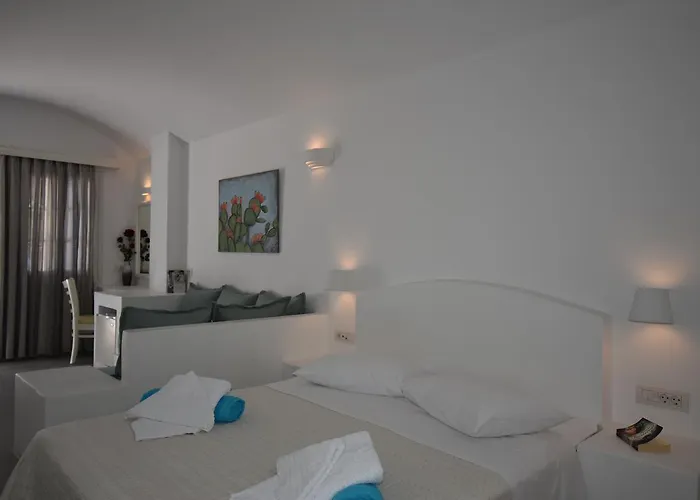 Arion Bay Santorini 3* Камари